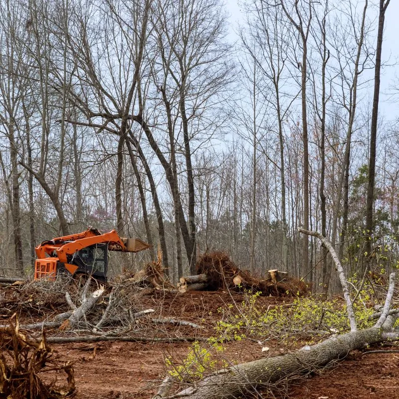 Débroussaillage près de Aimargues