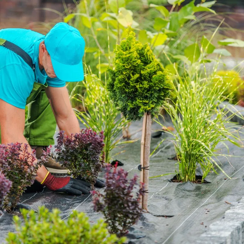 Entretien de jardin & paysagiste à Lunel